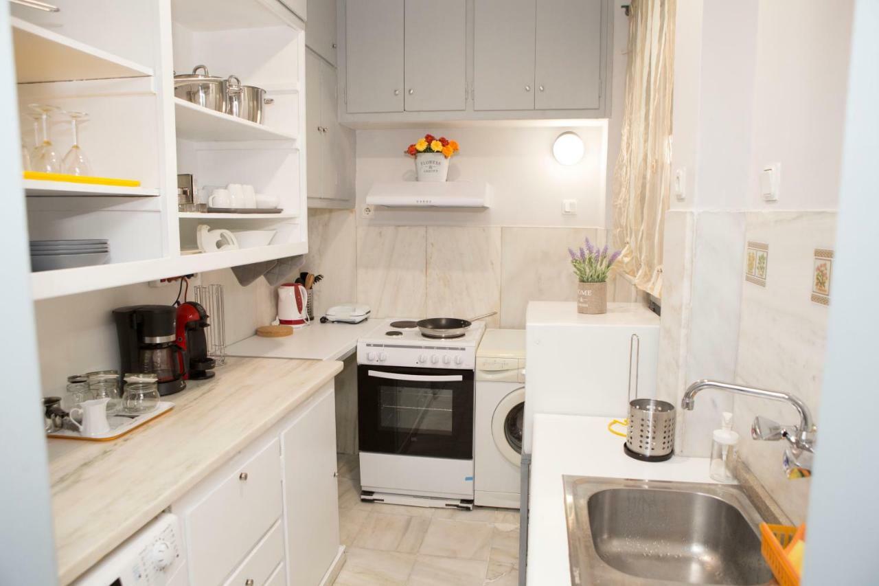 Athens Center Spacious Luxury Apartment Dış mekan fotoğraf
